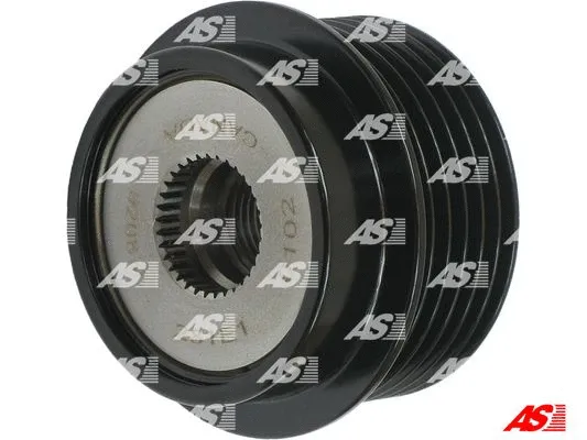 Alternator Freewheel Clutch (AFP6045(LITENS))