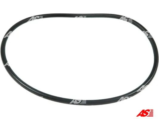 Repair Set, alternator (SRS1013)