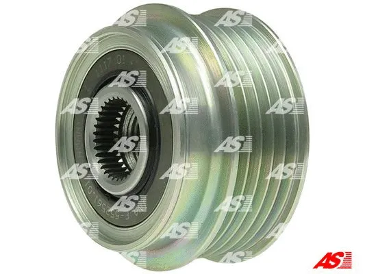 Alternator Freewheel Clutch (AFP5024(INA))