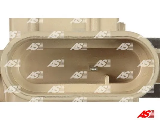 Alternator Regulator