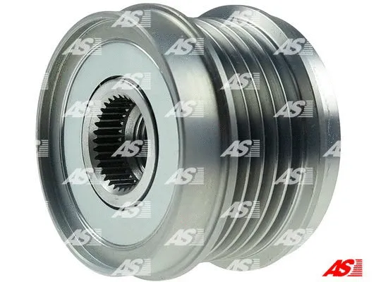 Alternator Freewheel Clutch (AFP0089)