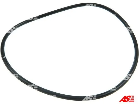 Repair Set, alternator (SRS1012)