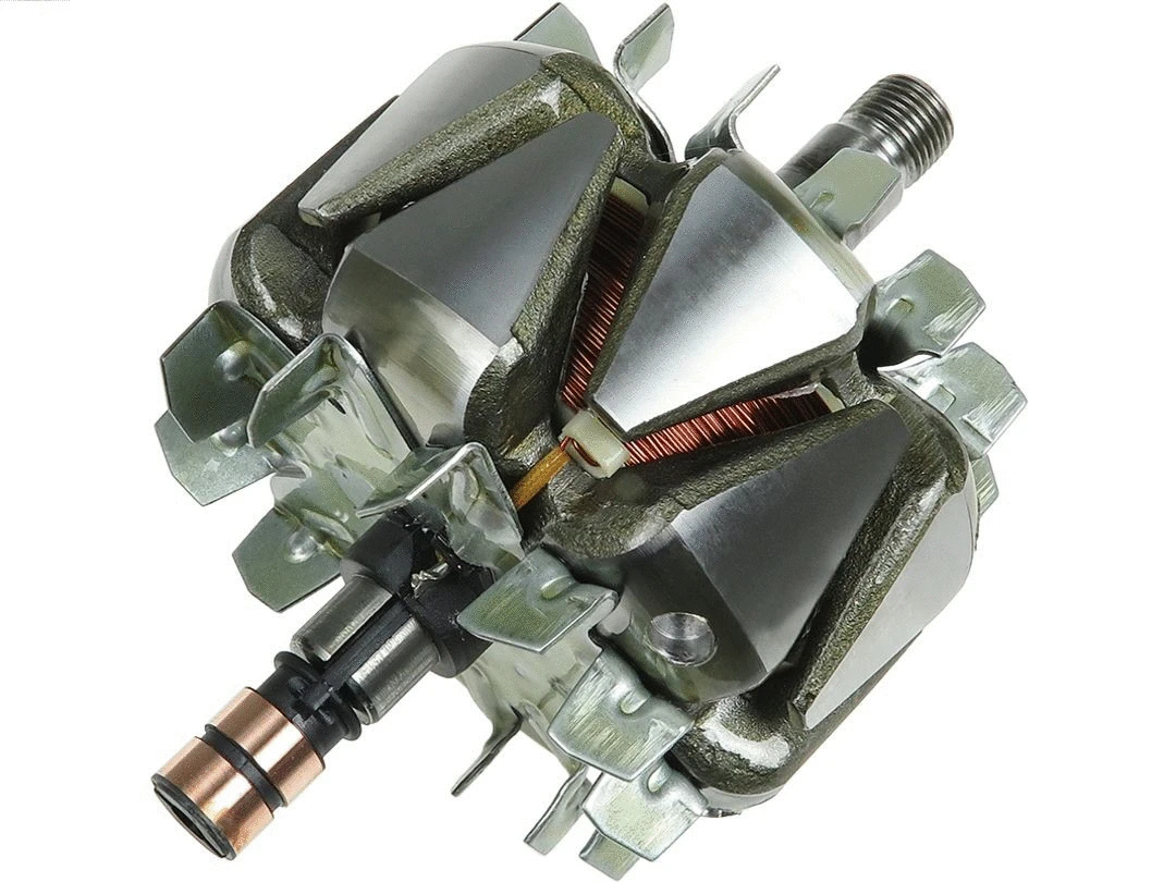 Rotor, alternator (AR0023)