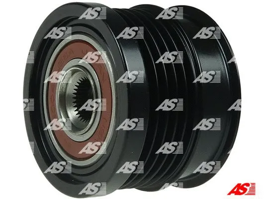 Alternator Freewheel Clutch (AFP0096(LITENS))
