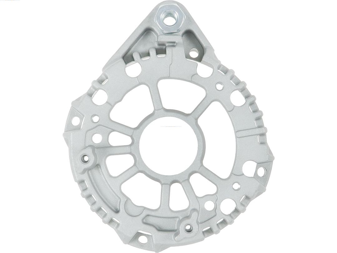 Bracket, alternator drive flange (ABR0281S)