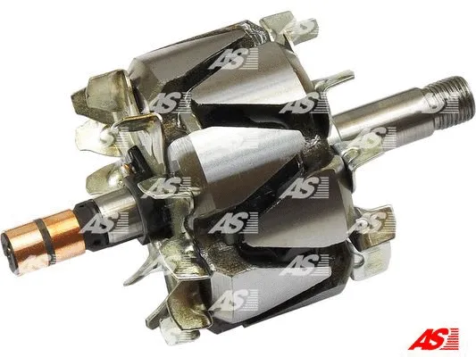 Rotor, alternator (AR9010)