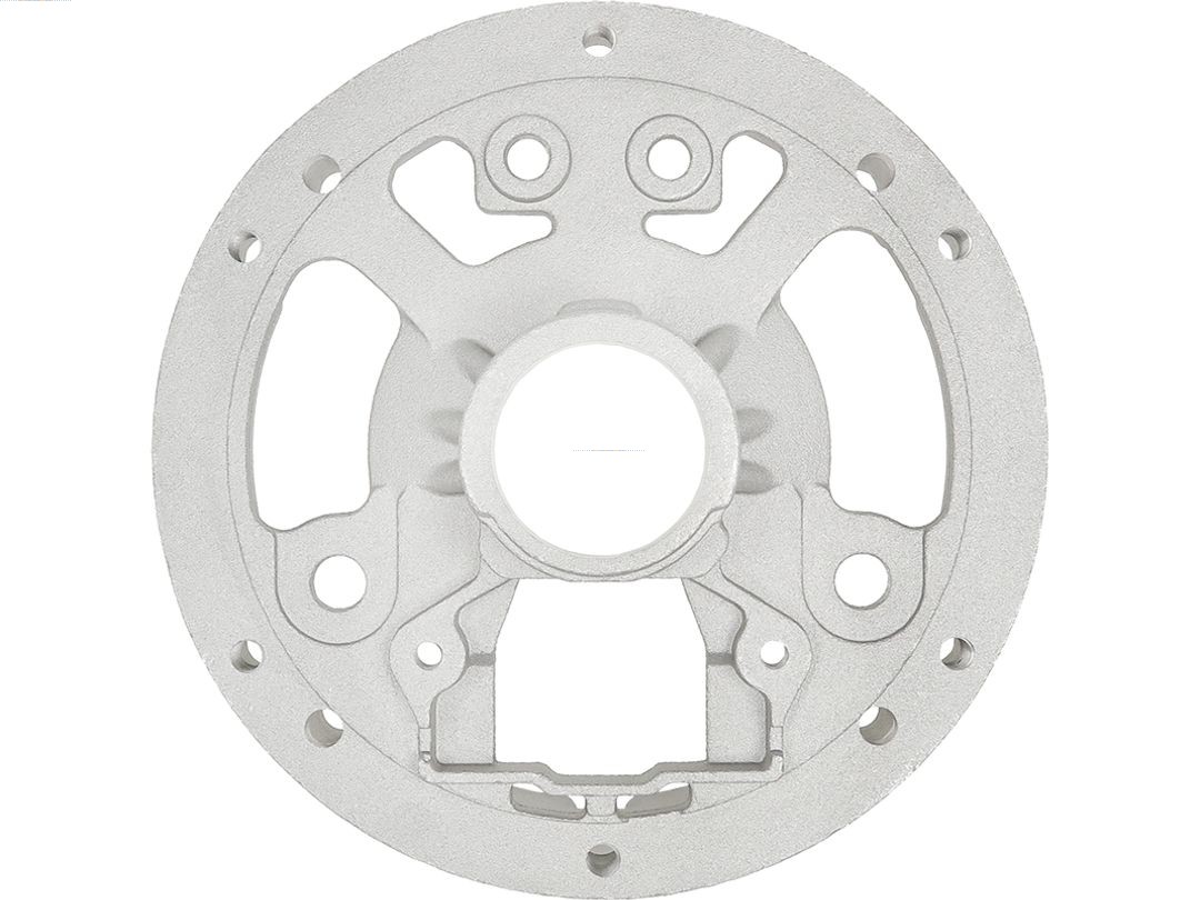 Bracket, alternator drive flange (ABR3079S)