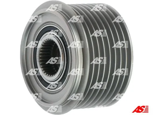 Alternator Freewheel Clutch (AFP0046(V))