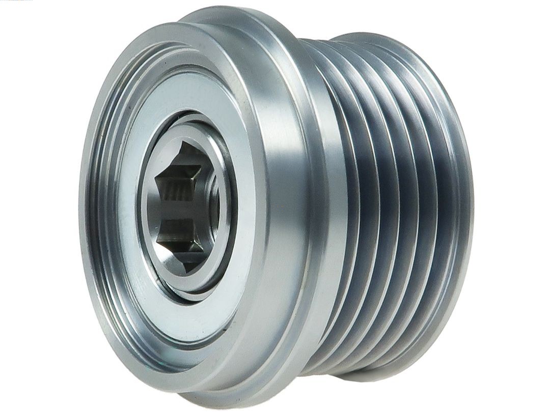 Alternator Freewheel Clutch (AFP5045S)