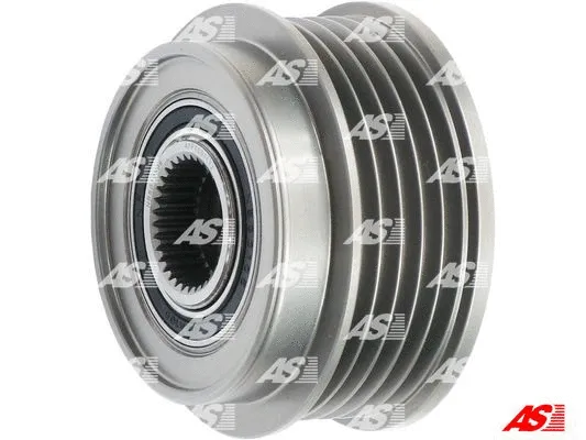 Alternator Freewheel Clutch (AFP1001(V))