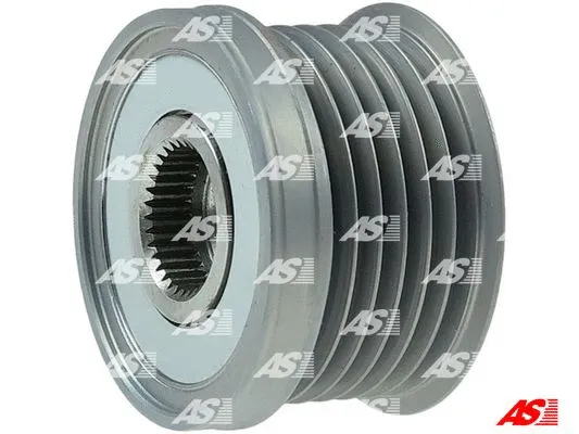 Alternator Freewheel Clutch (AFP6042)