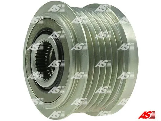 Alternator Freewheel Clutch (AFP6059(INA))