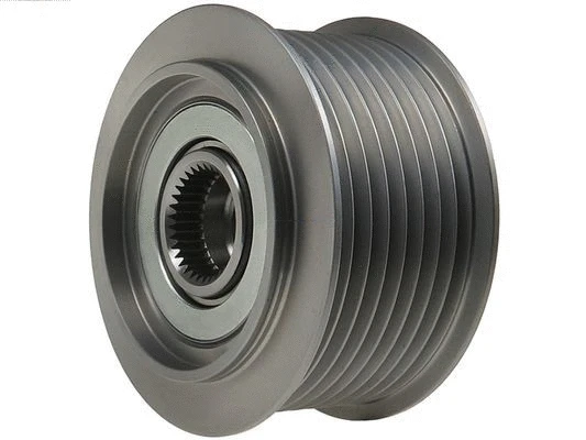 Alternator Freewheel Clutch (AFP0098S)