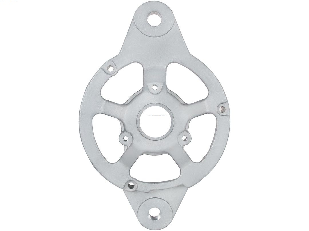 Bracket, alternator drive flange (ABR5185S)