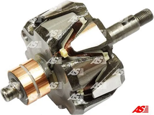 Rotor, alternator (AR9008)