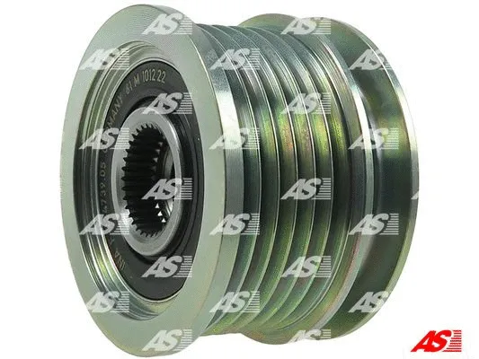 Alternator Freewheel Clutch (AFP3014(INA))
