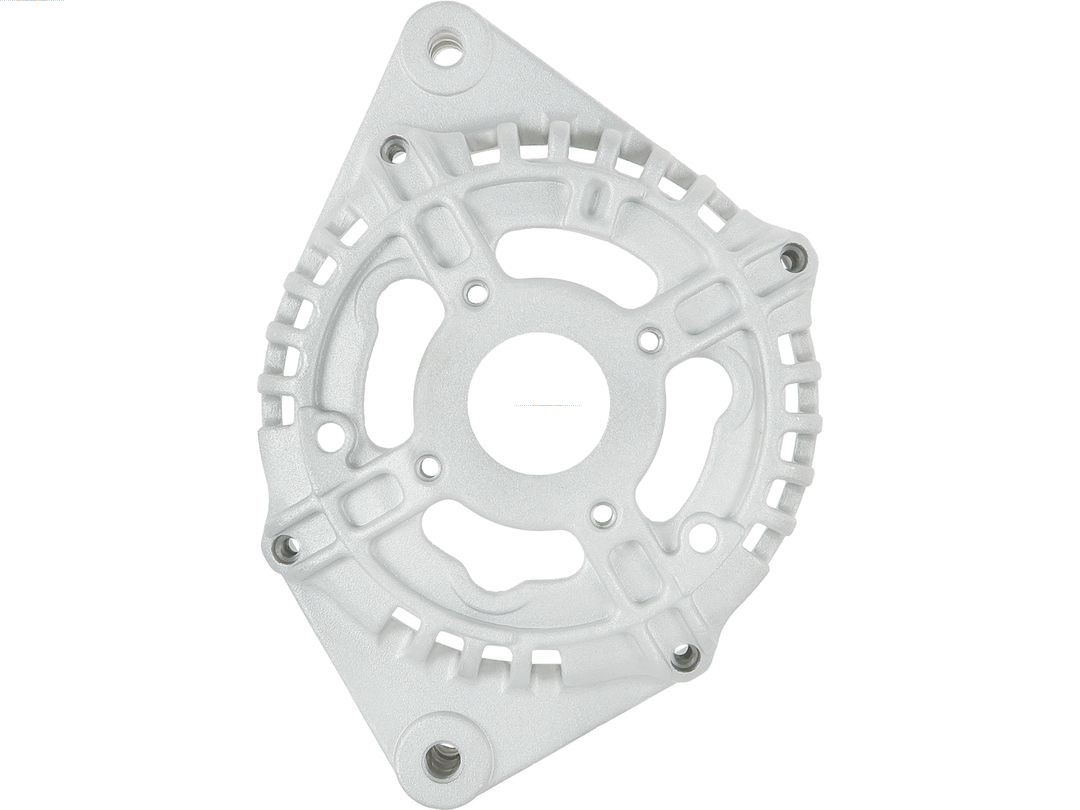 Bracket, alternator drive flange (ABR9079S)