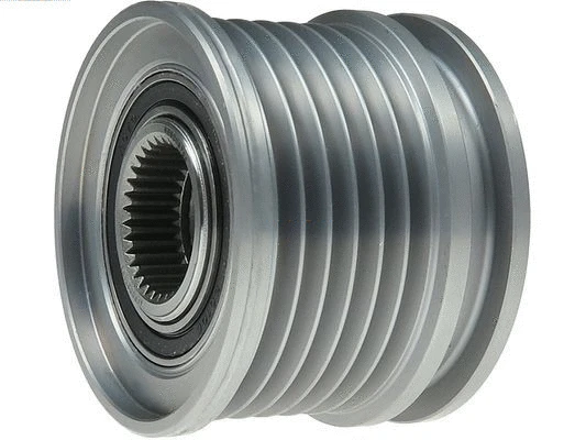 Alternator Freewheel Clutch (AFP0021(V))
