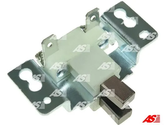 Holder, carbon brushes