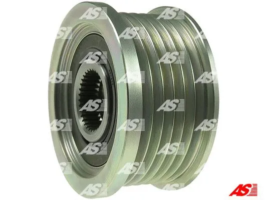Alternator Freewheel Clutch (AFP1007(INA))