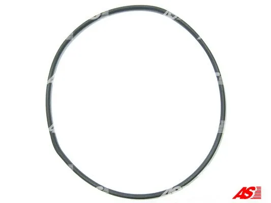 Repair Set, alternator (SRS0091)