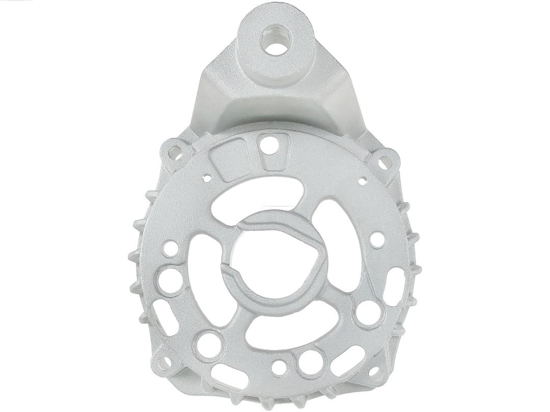 Bracket, alternator drive flange (ABR4075S)