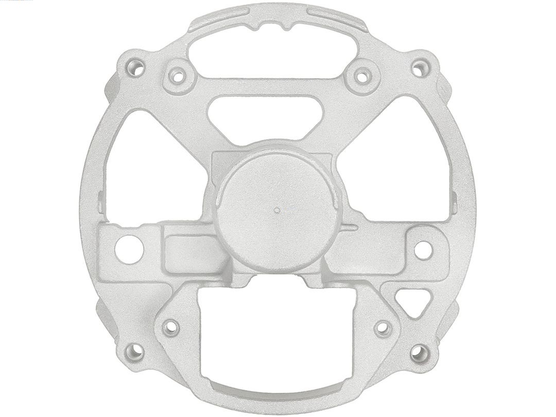 Bracket, alternator drive flange (ABR9048S)