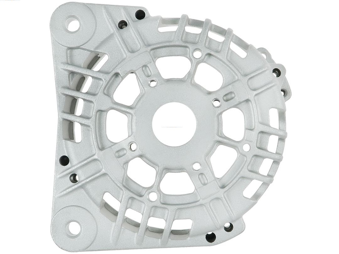 Bracket, alternator drive flange (ABR3131S)