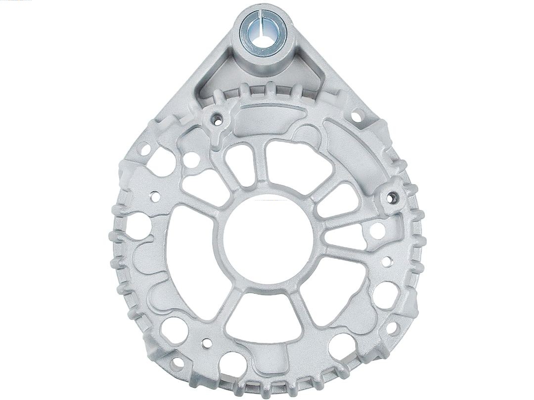 Bracket, alternator drive flange (ABR0204S)