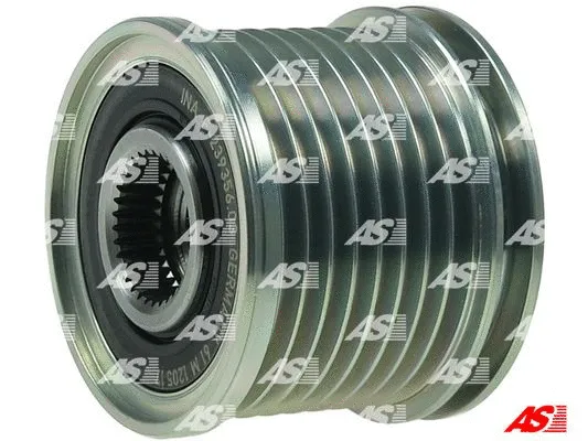 Alternator Freewheel Clutch (AFP0049(INA))