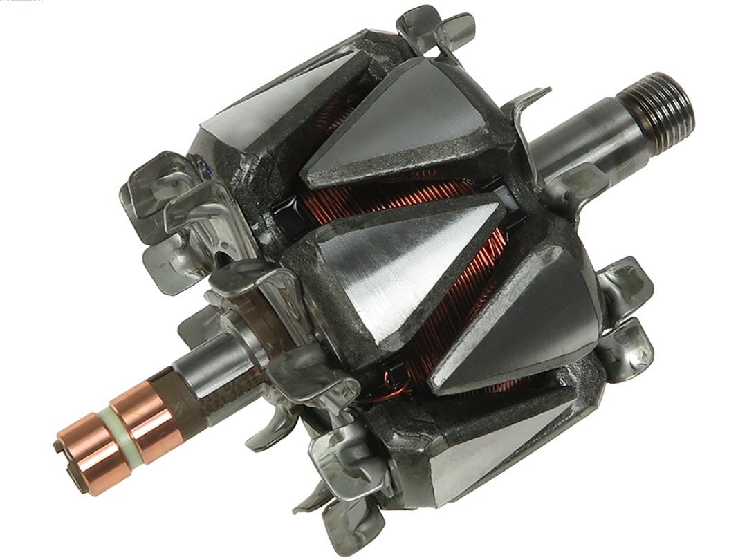 Rotor, alternator (AR3024)