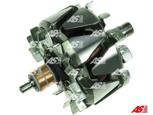 Rotor, alternator (AR5009)
