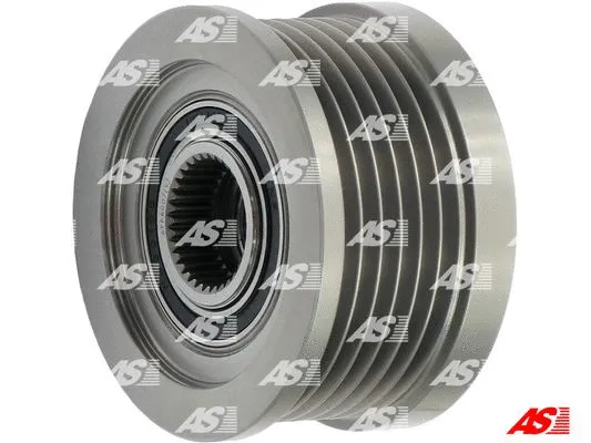 Alternator Freewheel Clutch (AFP6007(V))