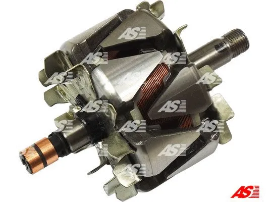 Rotor, alternator (AR0059)