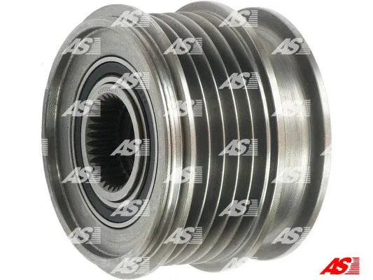 Alternator Freewheel Clutch (AFP0052(V))