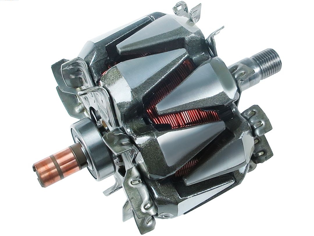 Rotor, alternator (AR3025)