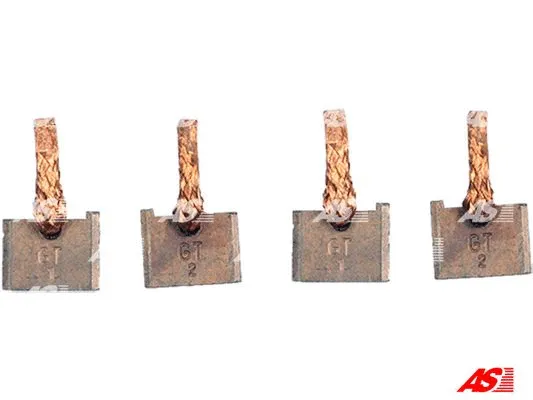 Carbon Brush, starter (BSX208-209)