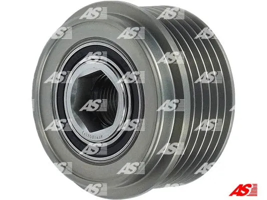 Alternator Freewheel Clutch (AFP1002(V))
