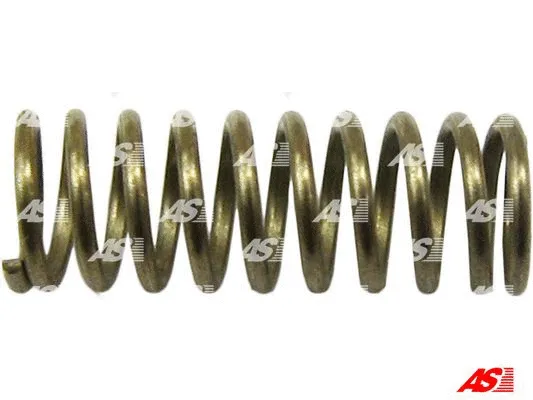 Repair Kit, starter (SDK0022)