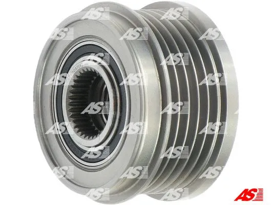 Alternator Freewheel Clutch (AFP0037(V))