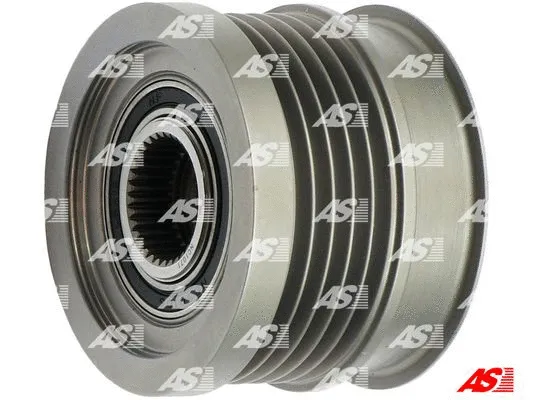 Alternator Freewheel Clutch (AFP0079)