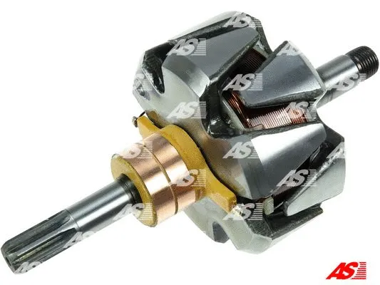 Rotor, alternator (AR2001)