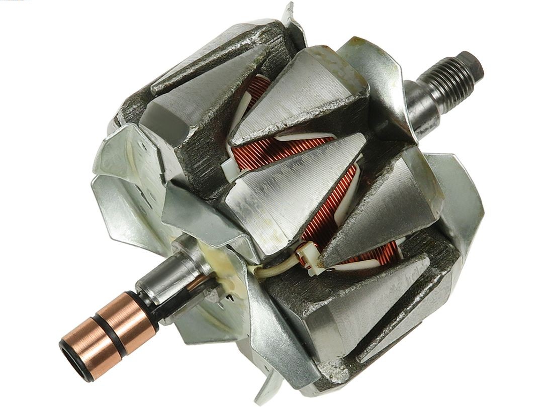 Rotor, alternator (AR6011)