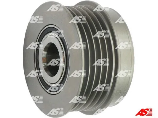 Alternator Freewheel Clutch