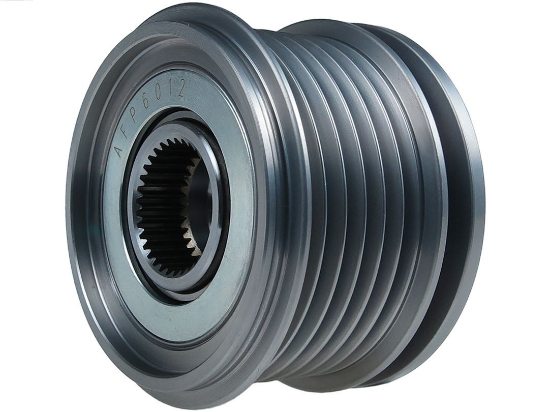 Alternator Freewheel Clutch (AFP6012)