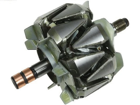 Rotor, alternator (AR6019)