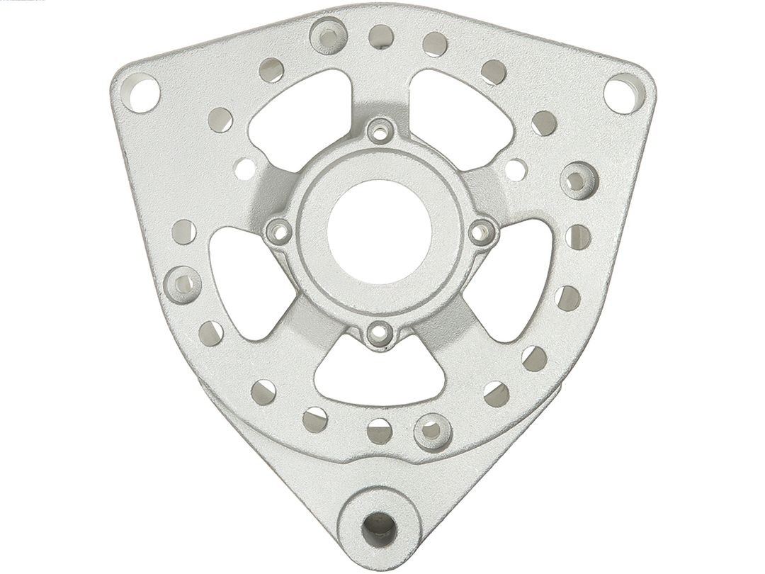 Bracket, alternator drive flange (ABR0181S)