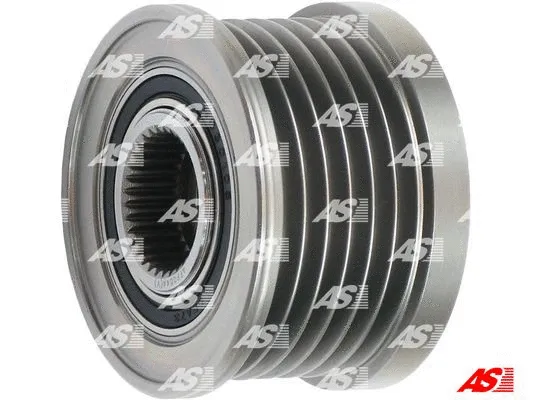 Alternator Freewheel Clutch (AFP0044(V))