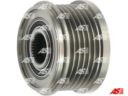 Alternator Freewheel Clutch (AFP9010(V))
