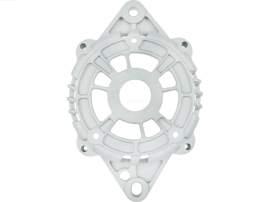 Bracket, alternator drive flange (ABR9082S)